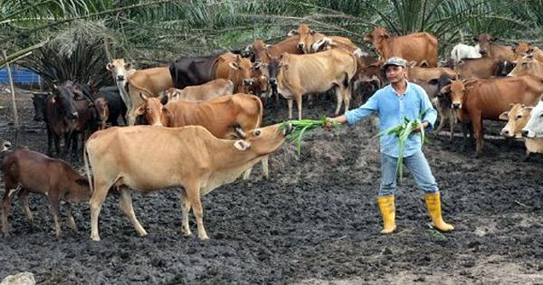 A description of the image