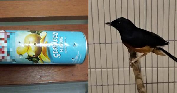 A description of the image