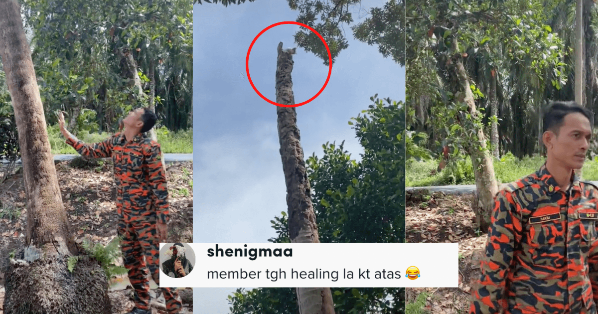 A description of the image