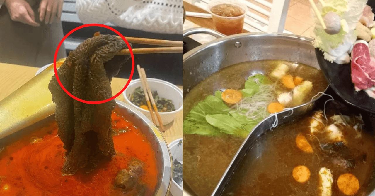 A description of the image