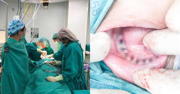 A description of the image