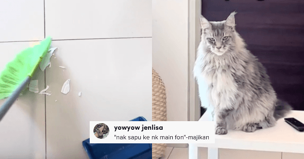 A description of the image