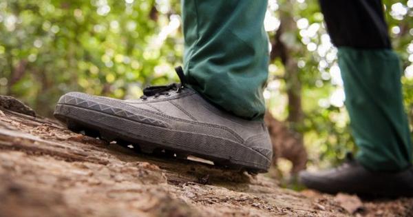 A description of the image