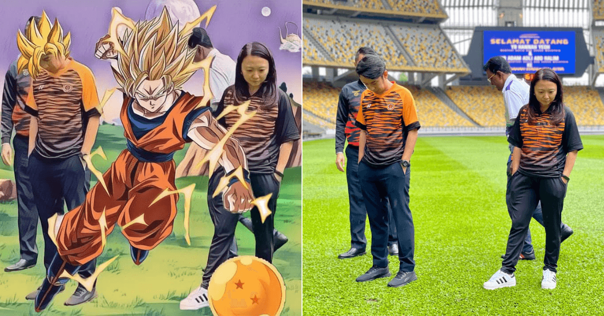 A description of the image