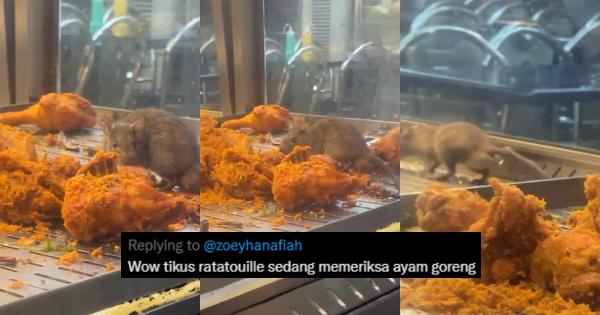 A description of the image