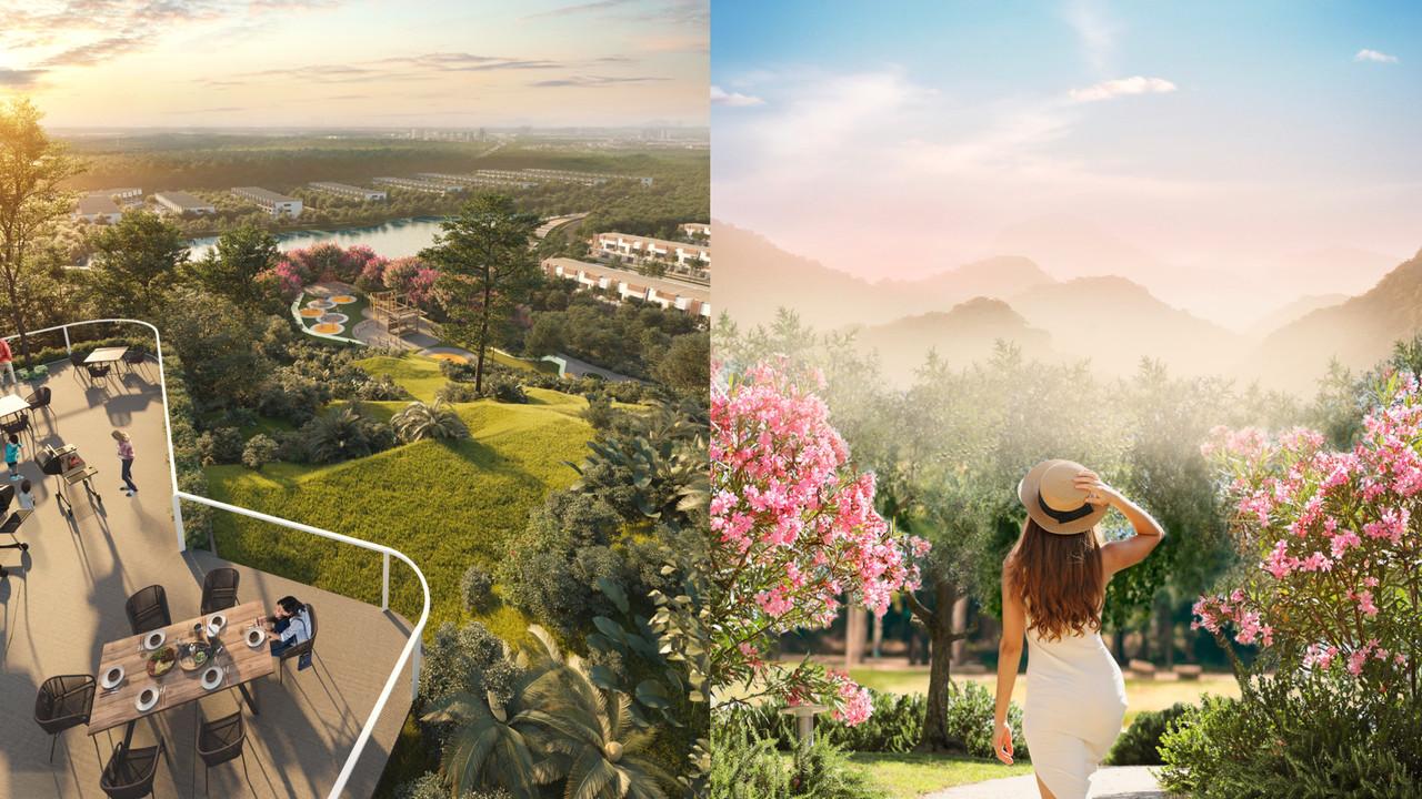 A description of the image