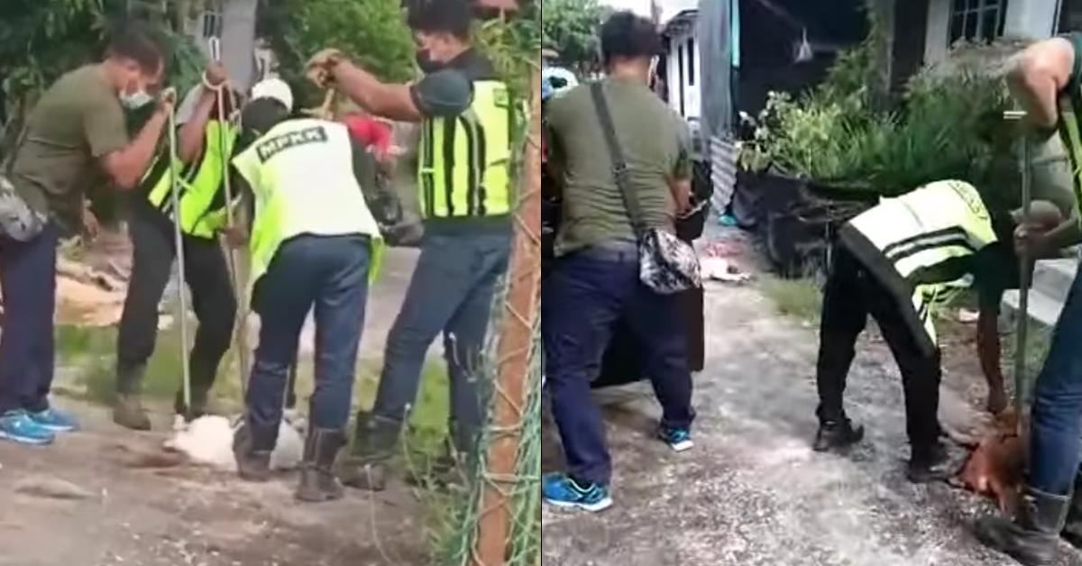 A description of the image