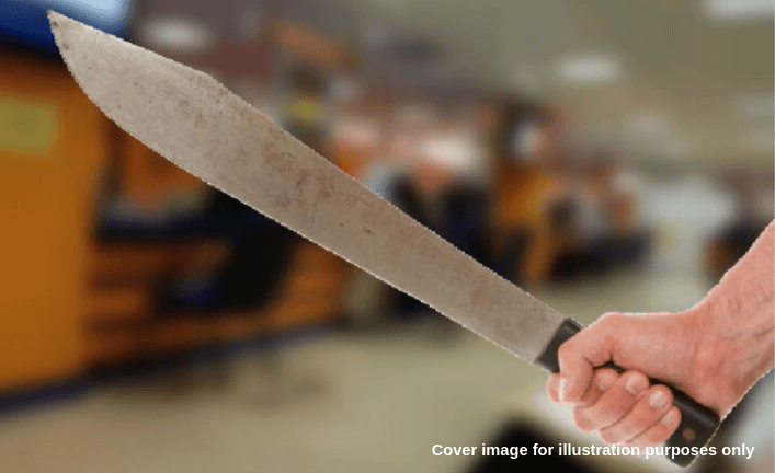 A description of the image