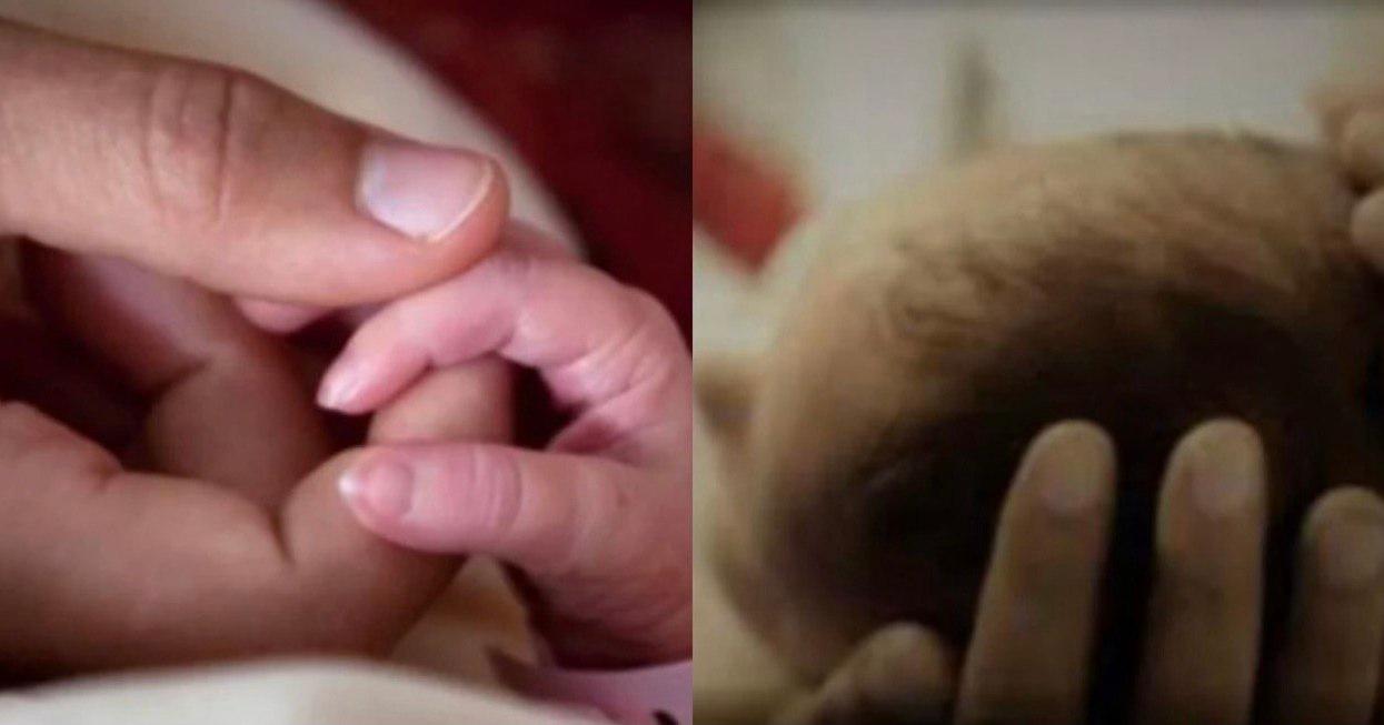 A description of the image