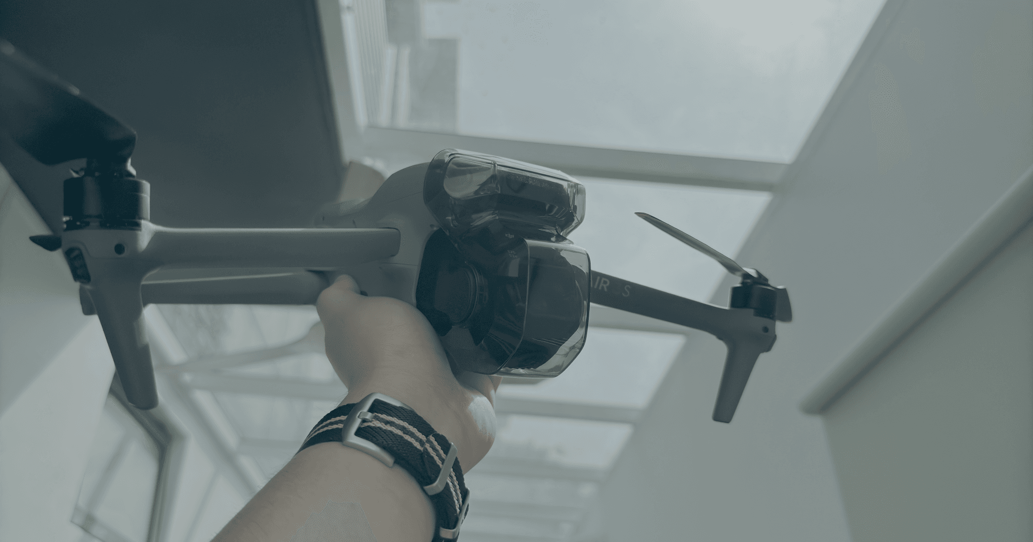 A description of the image