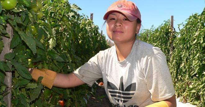 A description of the image