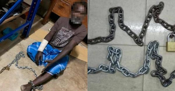 A description of the image