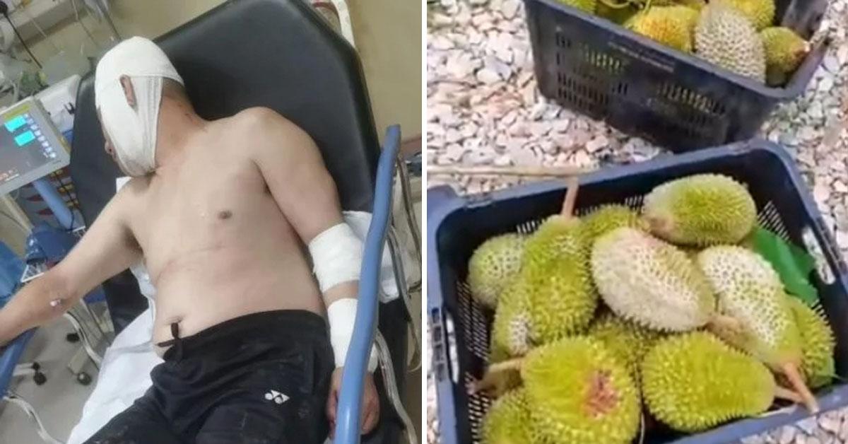 A description of the image