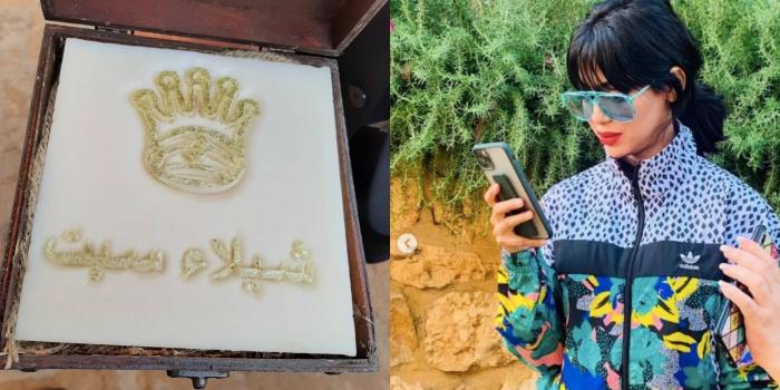 A description of the image