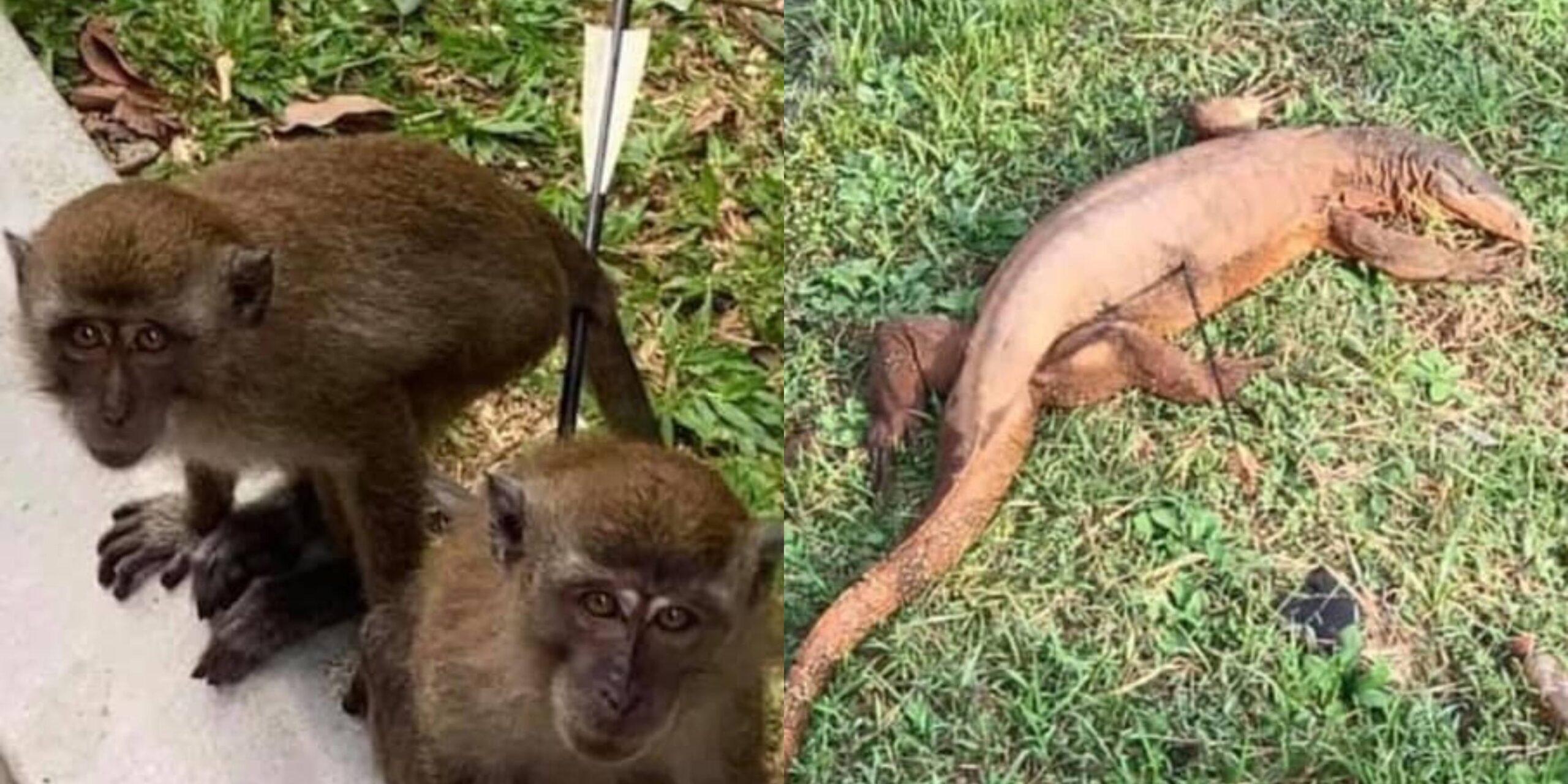 A description of the image