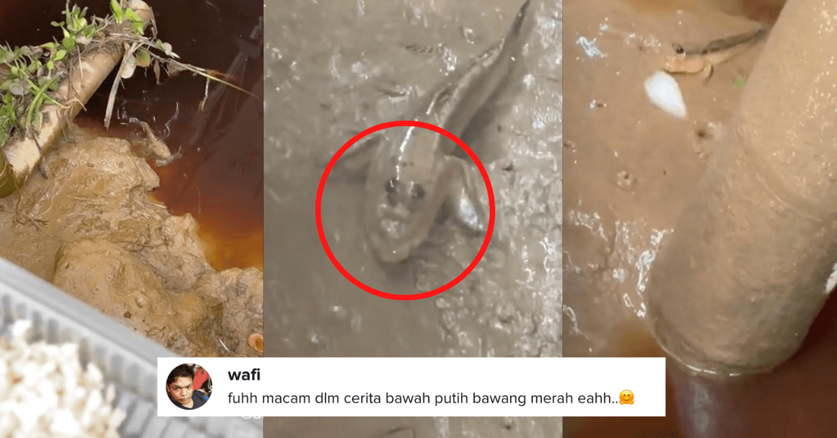 A description of the image