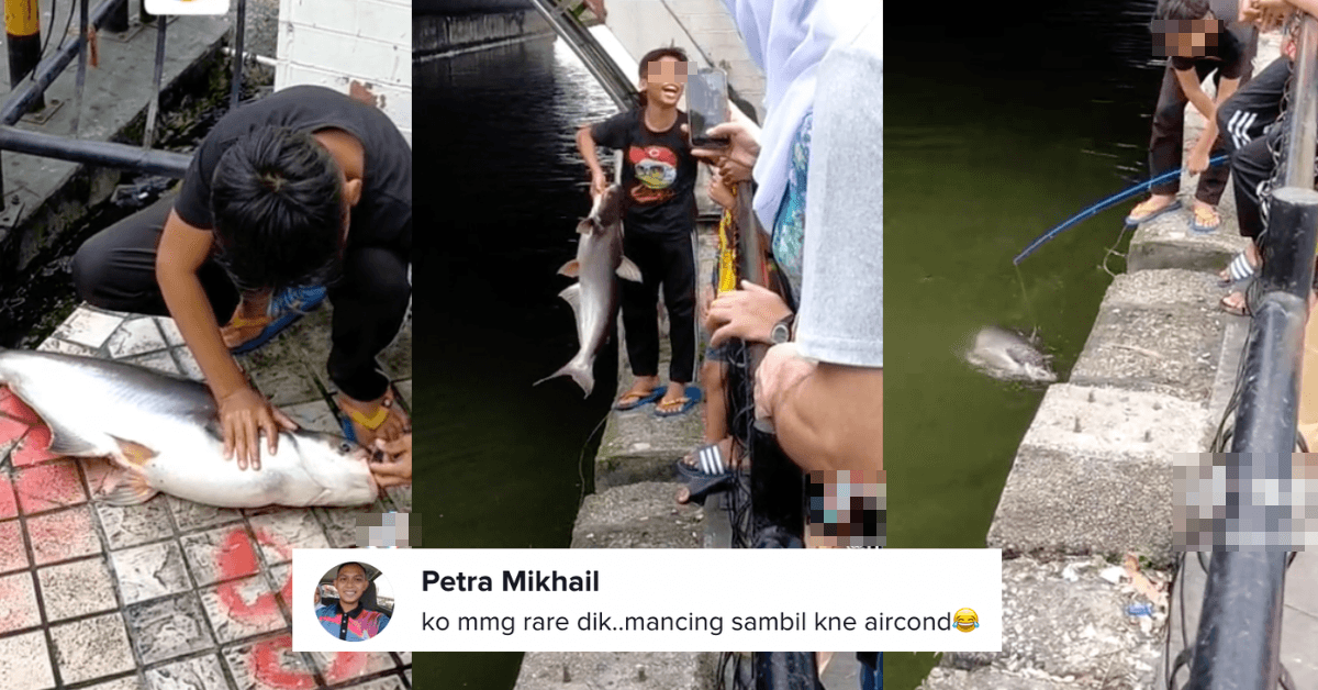 A description of the image