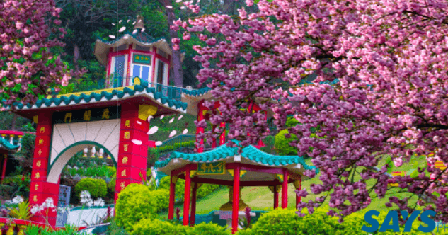 A description of the image