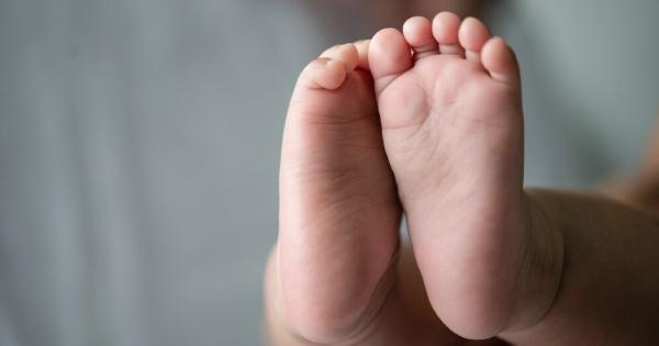 A description of the image