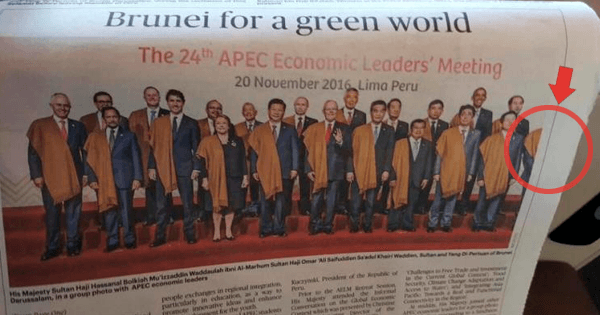 A description of the image