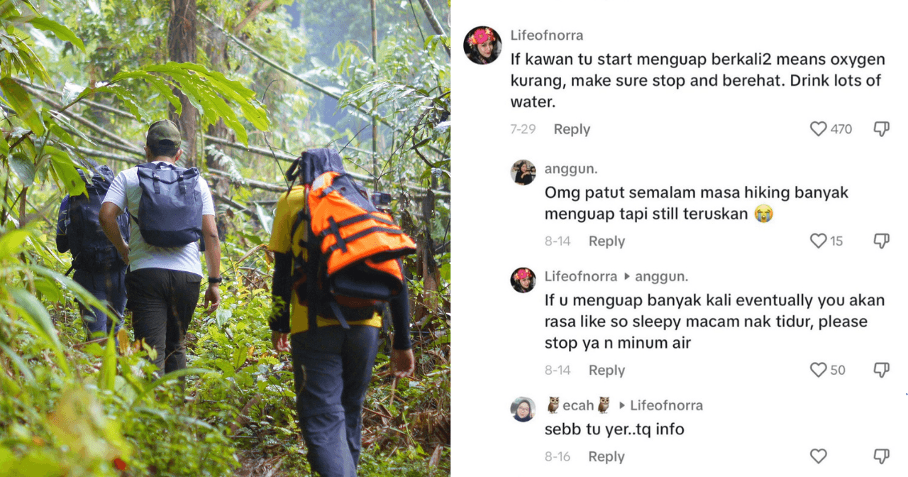 A description of the image