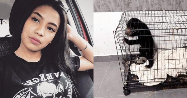 A description of the image