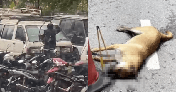 A description of the image