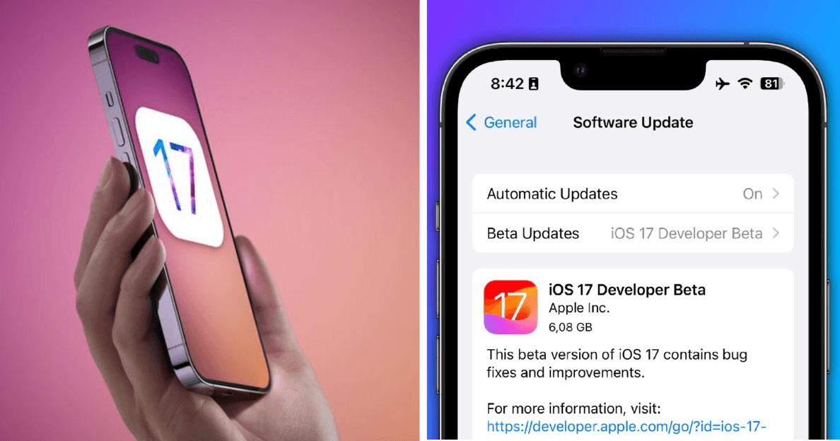 A description of the image