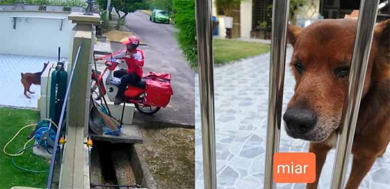 A description of the image