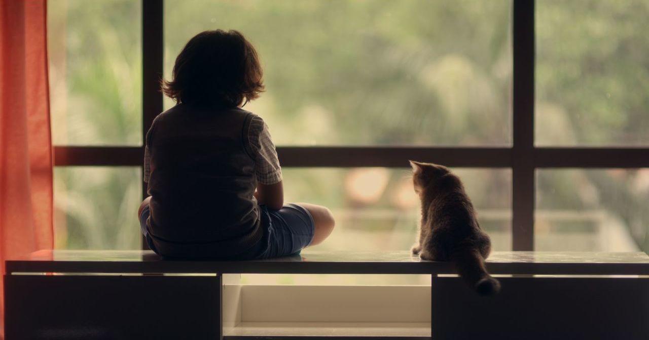 A description of the image