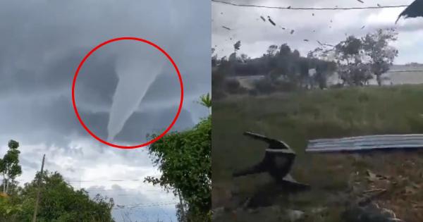 A description of the image