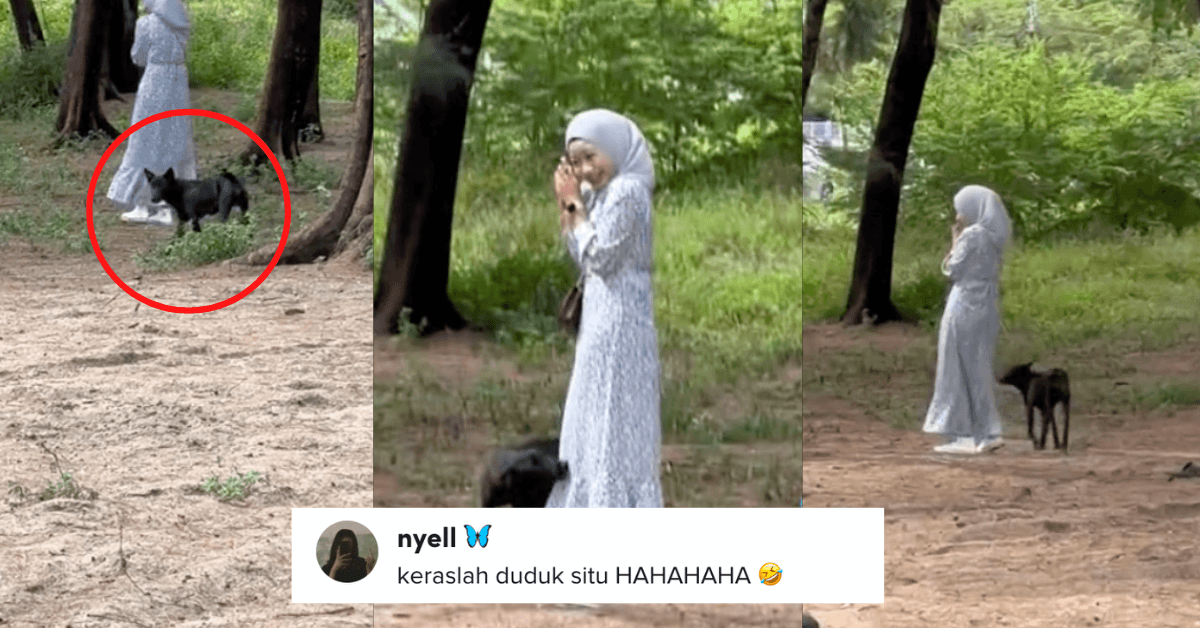 A description of the image