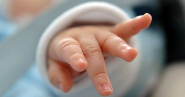 A description of the image