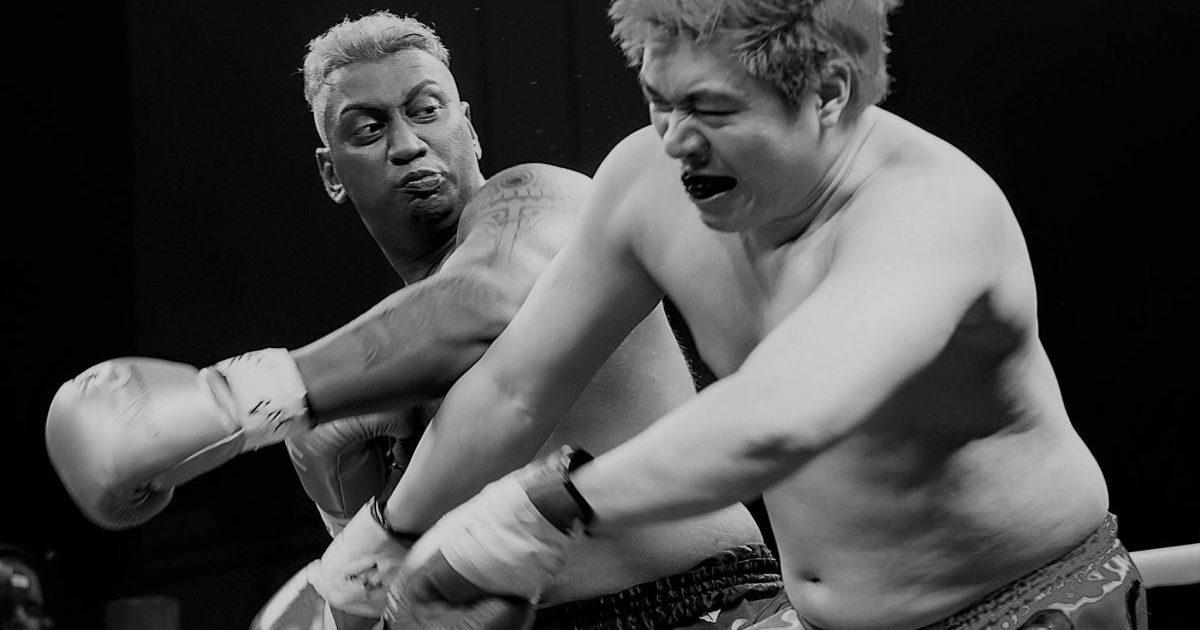 A description of the image