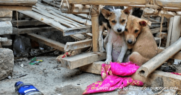 A description of the image