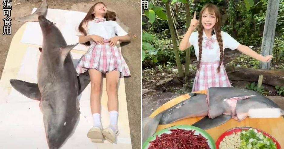 A description of the image