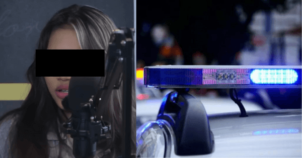 A description of the image