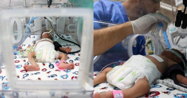 A description of the image