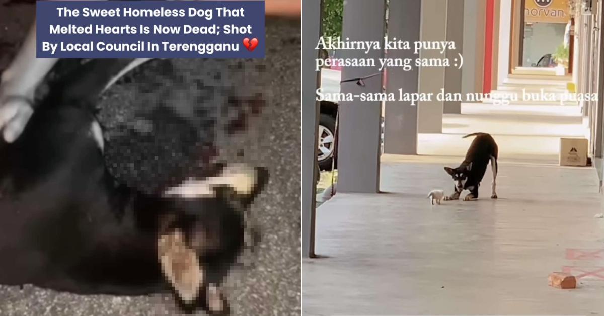 A description of the image