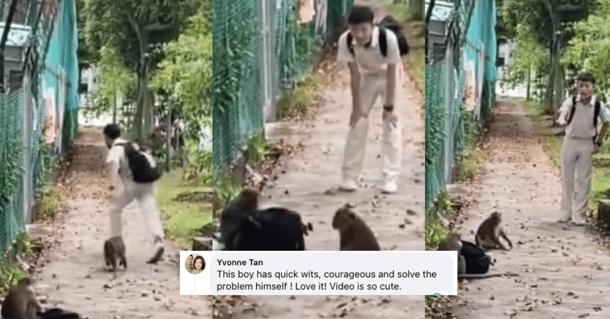 A description of the image