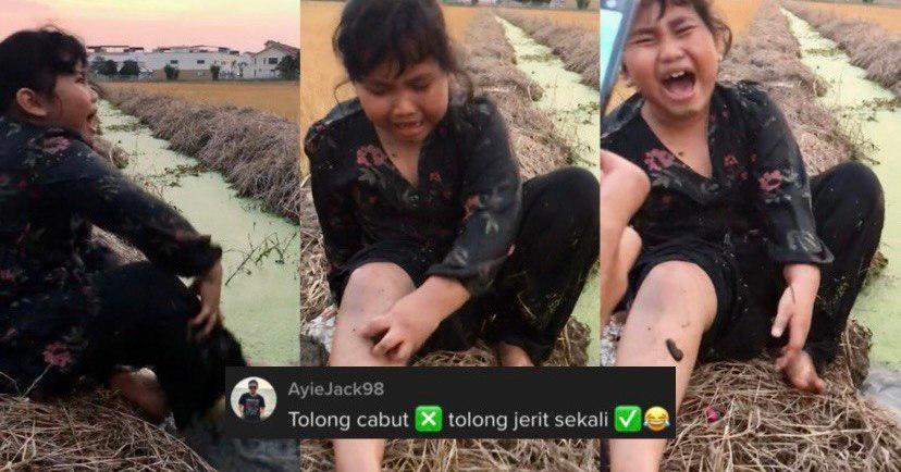 A description of the image