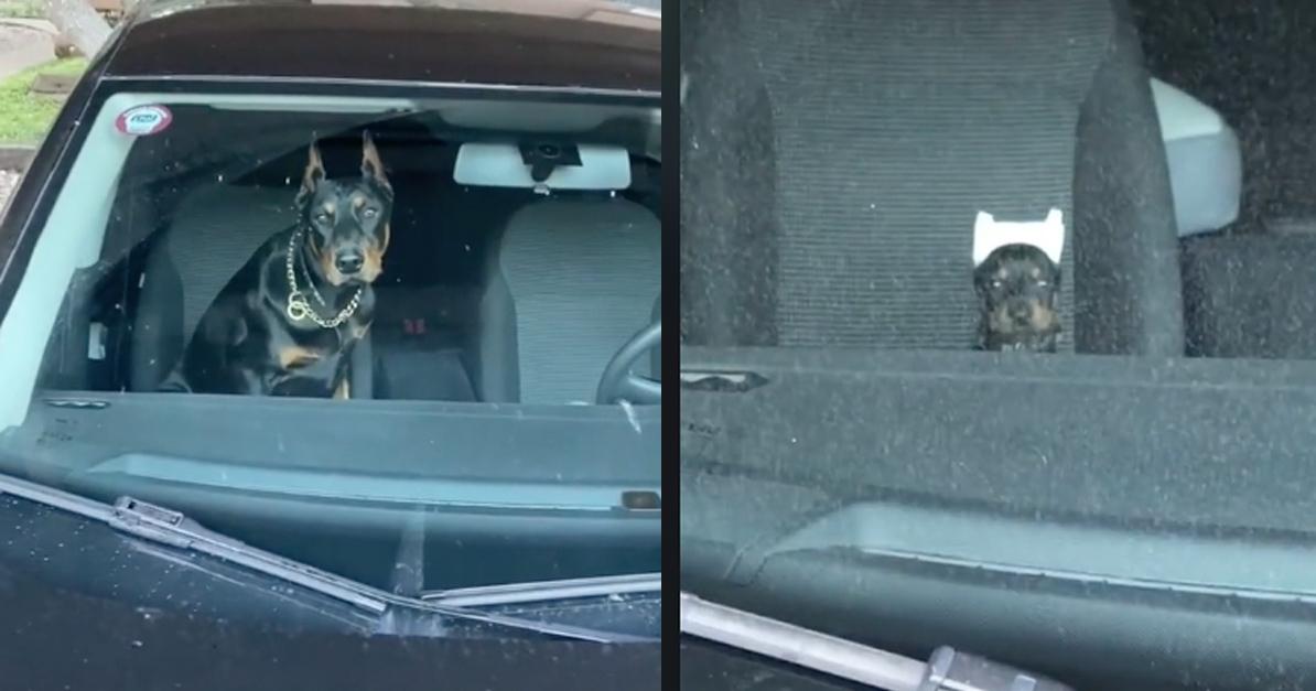 A description of the image