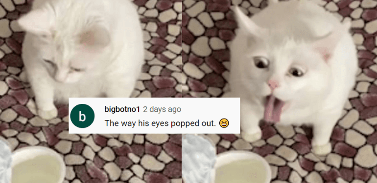 A description of the image