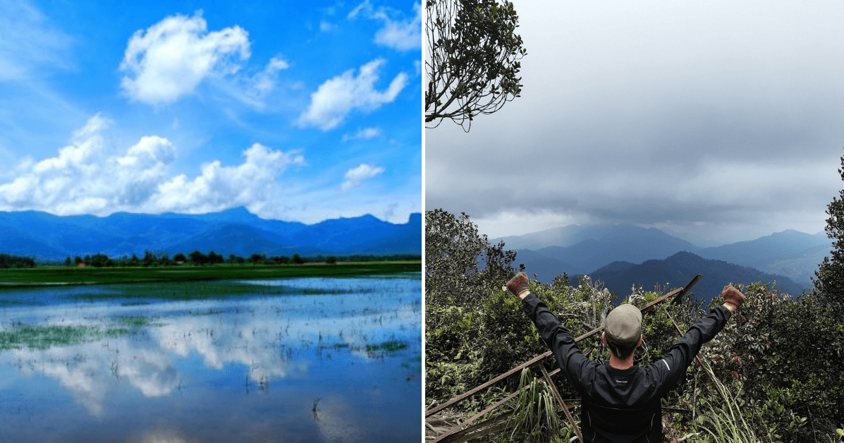 A description of the image