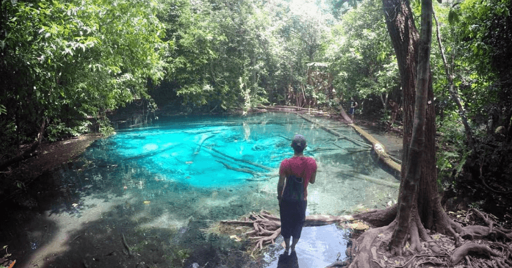 A description of the image