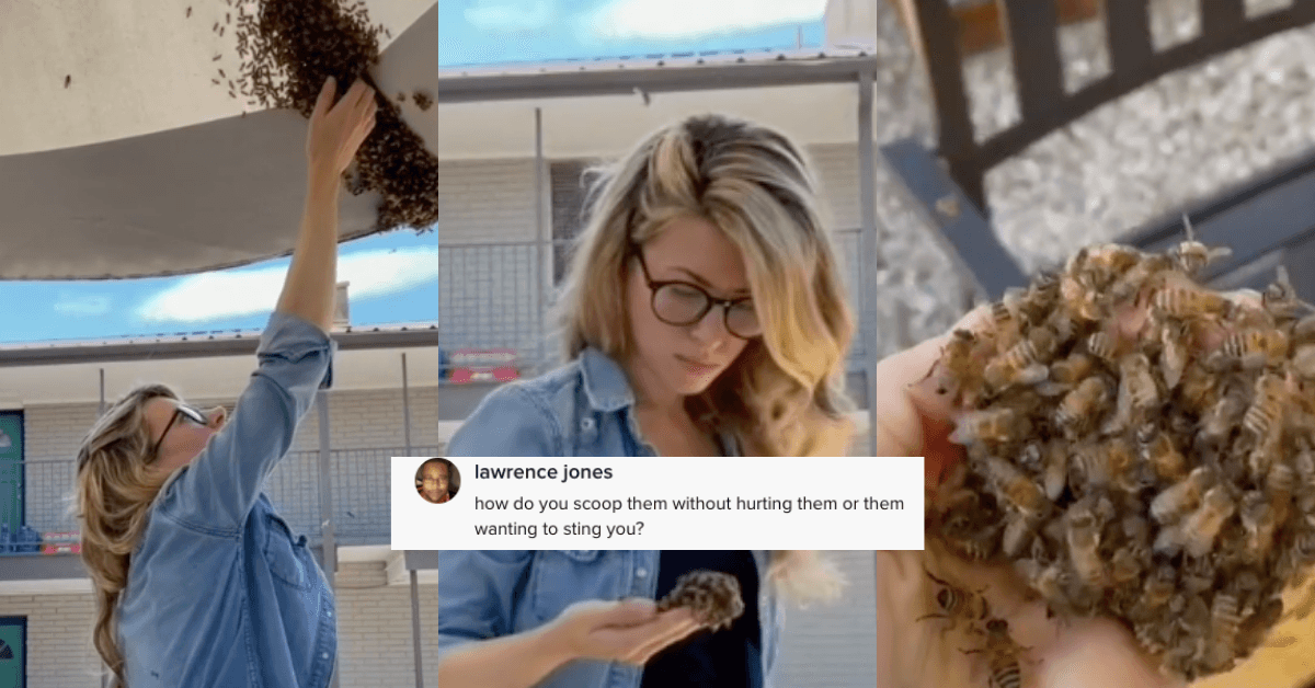 A description of the image