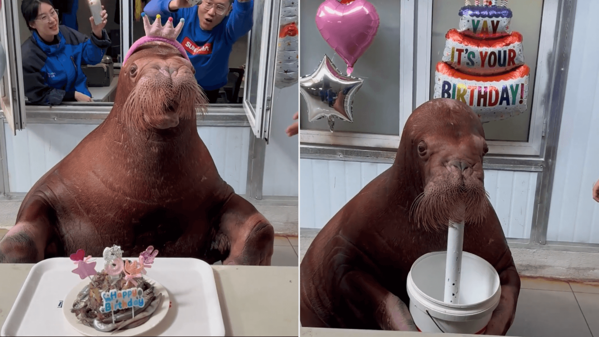 A description of the image