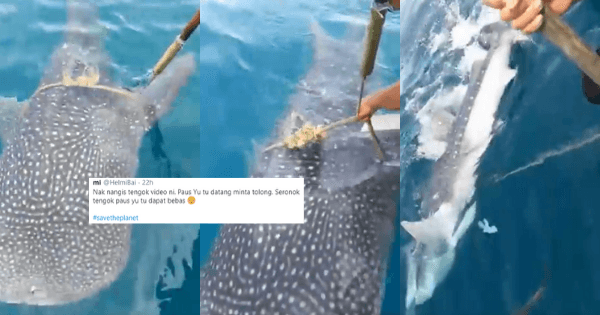 A description of the image