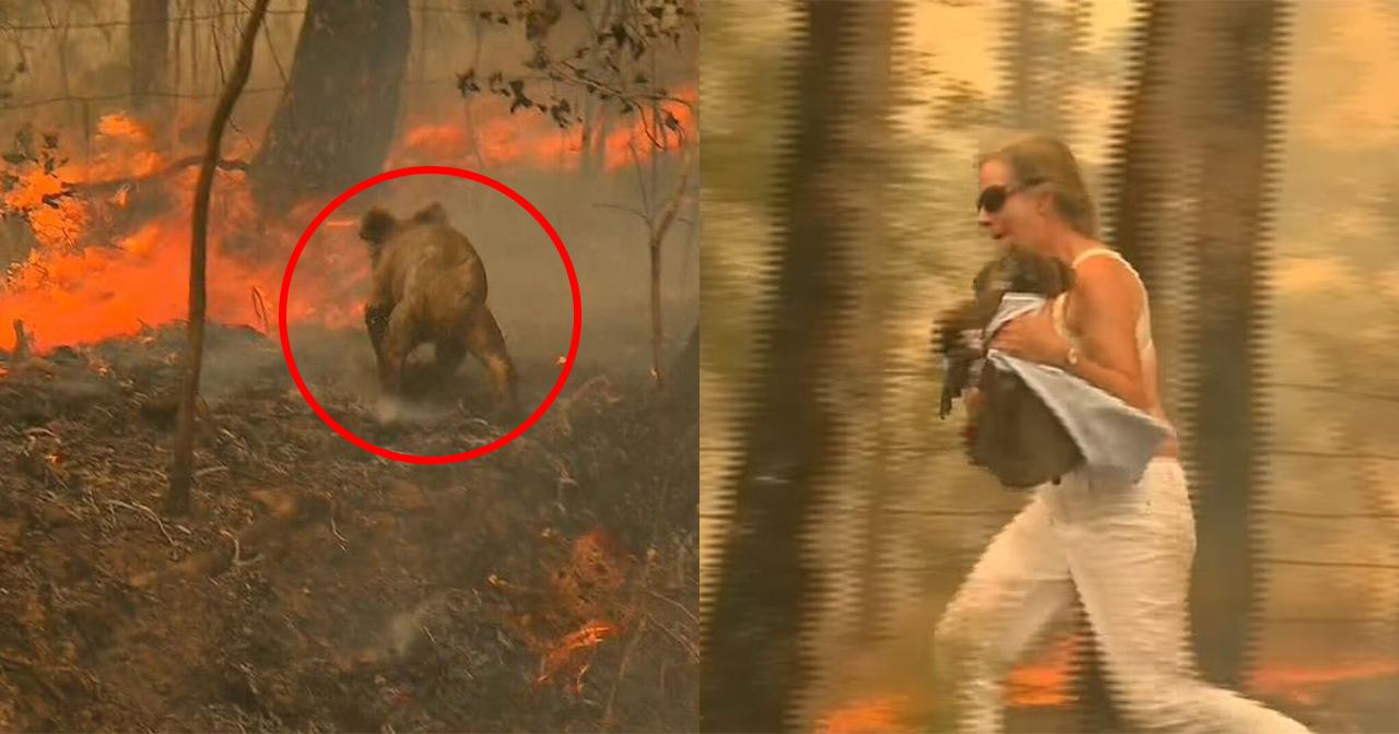 A description of the image