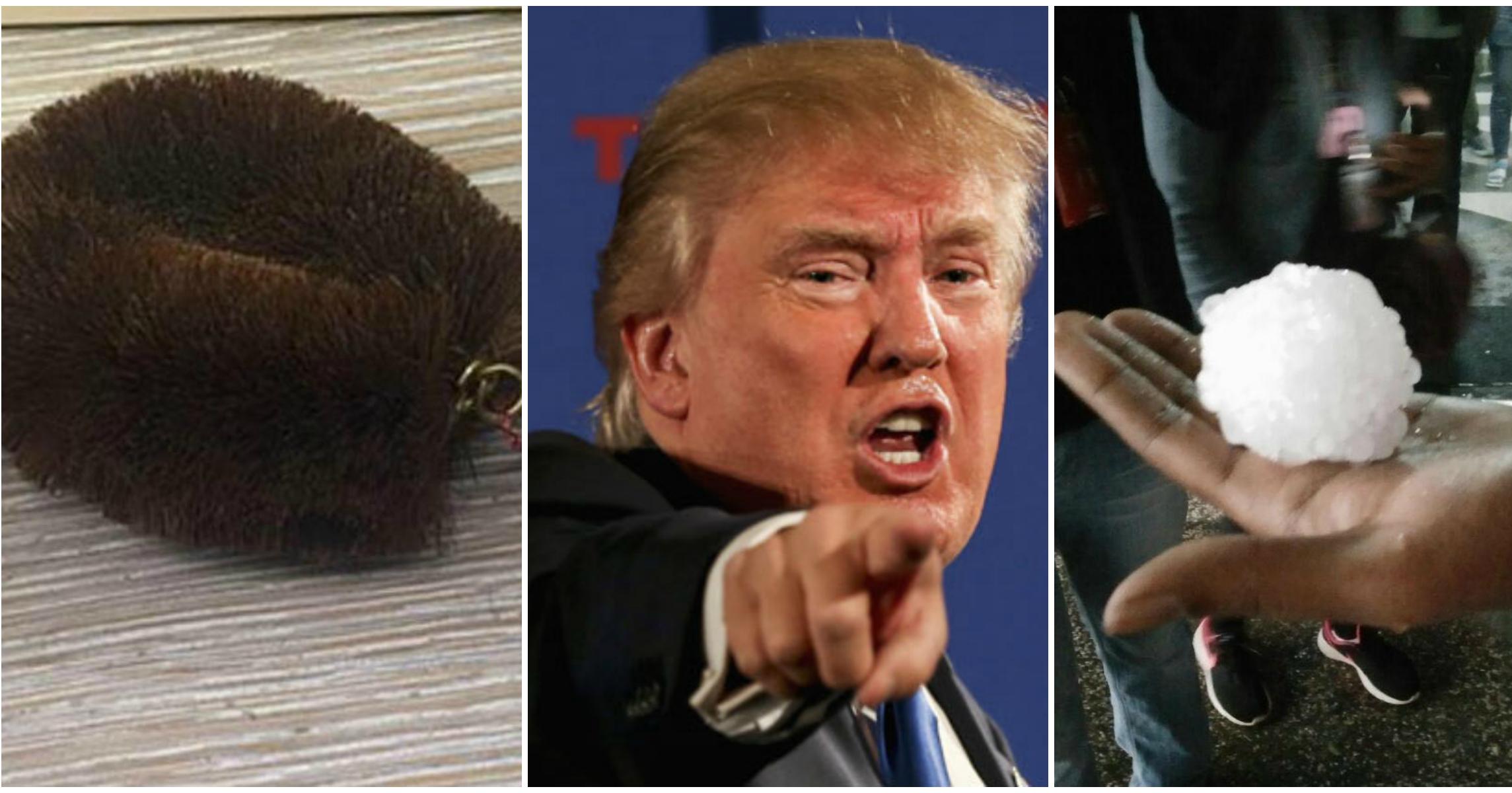 A description of the image